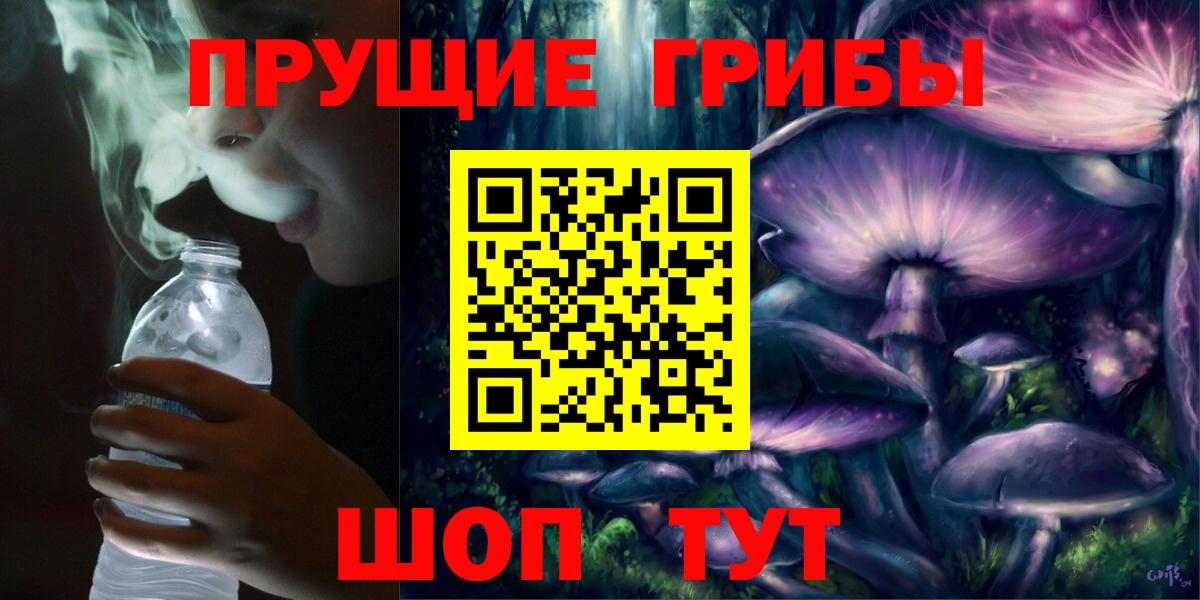 Псилоцибиновые грибы прущие грибы Кинель