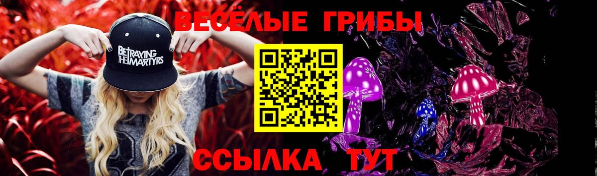 Псилоцибиновые грибы Psilocybe  Вход с VPN  Кинель 